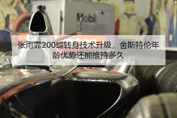 zhang-yu-fei-die-zhuan-shen-ji-shu-sheng-ji-she-si-te-lun-nian-ling-you-shi-hai-neng-wei-chi-duo-jiu-3-326.jpg