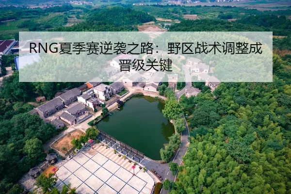 RNG夏季赛逆袭之路：野区战术调整成晋级关键