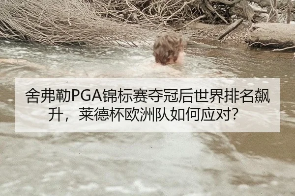 she-fu-lei-jin-biao-sai-duo-guan-hou-shi-jie-pai-ming-biao-sheng-lai-de-bei-ou-zhou-dui-ru-he-ying-dui-2-109.jpg